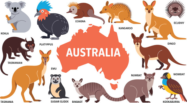 Australian wildlife collection with map of Australia featuring kangaroo koala emu platypus dingo and tasmanian devil vector illustration