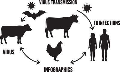 Obraz premium Zoonotic Virus Transmission Cycle Infographic. Animal to Human Infection Diagram. Isolated Vector Graphic. isolated PNG with Transparent Background