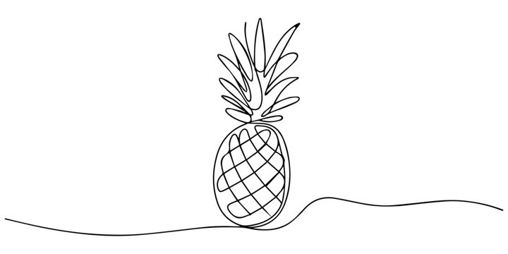 Single continuous line drawing whole healthy pineapple organic for orchard logo identity, one continuous drawn line of pineapple drawn from the hand a picture of the silhouette. Line art. tropical