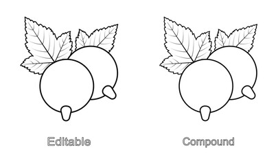 Currant berry set, isolated on a white background. Editable and compound outline drawing. Linear icon, vector illustration. Template for coloring page. © IrinaUljankina