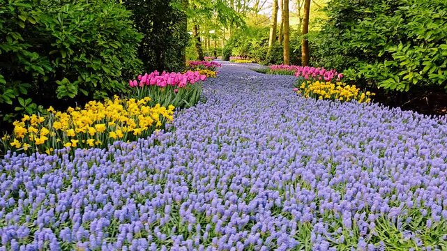 Scenic flower park landscape in Keukenhof, Lisse in The Netherlands