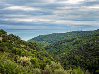 Obraz premium Lush green forest hills meeting the sea in Apulia, Italy