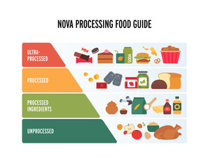 Fototapeta premium Vector flat infographic of NOVA food processing classification. 4 column chart from unprocessed healthy diet to ultra-processed junk food. Nutrition and health guide.