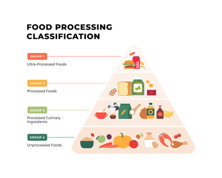 Vector flat infographic of NOVA food processing classification pyramid. Diagram shows 4 levels from unprocessed healthy diet base to ultra-processed junk food top.