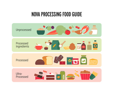 Vector flat vertical infographic of NOVA food processing classification. Chart shows 4 groups from unprocessed to ultra-processed fast food. Diet and nutrition guide.
