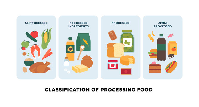 Vector flat chart of food processing classification. 4 categories: unprocessed, ingredients, processed, and ultra-processed junk food. Diet nutrition and health education infographic.