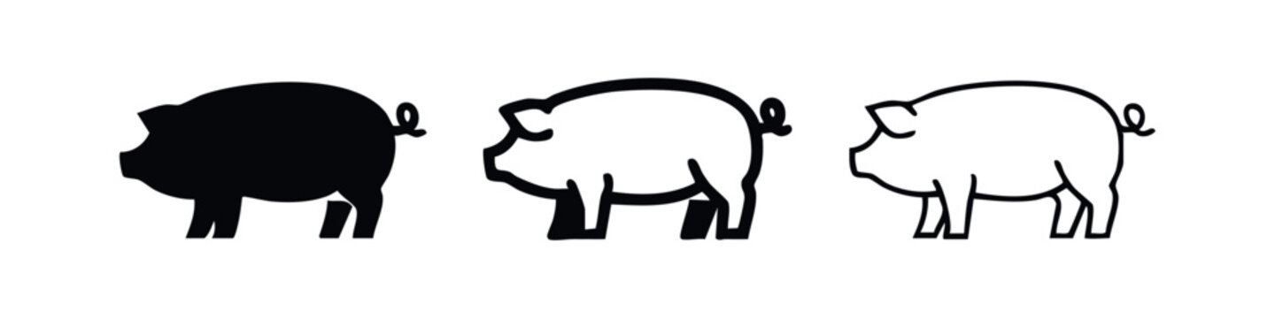Pig icon set in three different styles: solid silhouette, bold outline, and thin line art on a white background. Farm animal vector illustration.