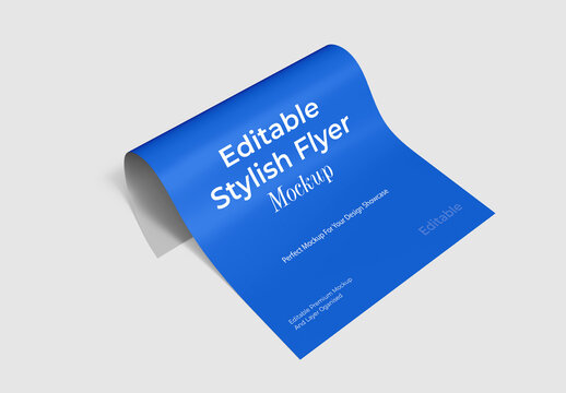 Realistic Editable Flyer Mockup PSD