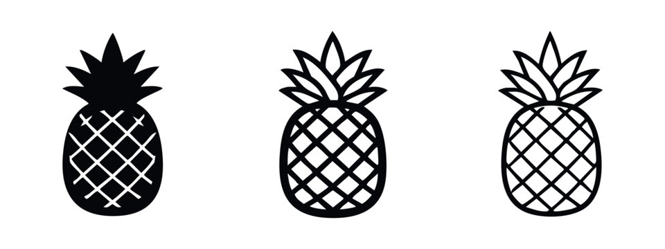 Textured pineapple fruit icon set. Detailed tropical fruit vector illustration in solid, outline, and hand-drawn styles.