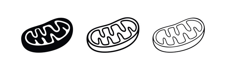 Fototapeta premium Mitochondria vector icon set. Cellular organelle symbol in various styles.