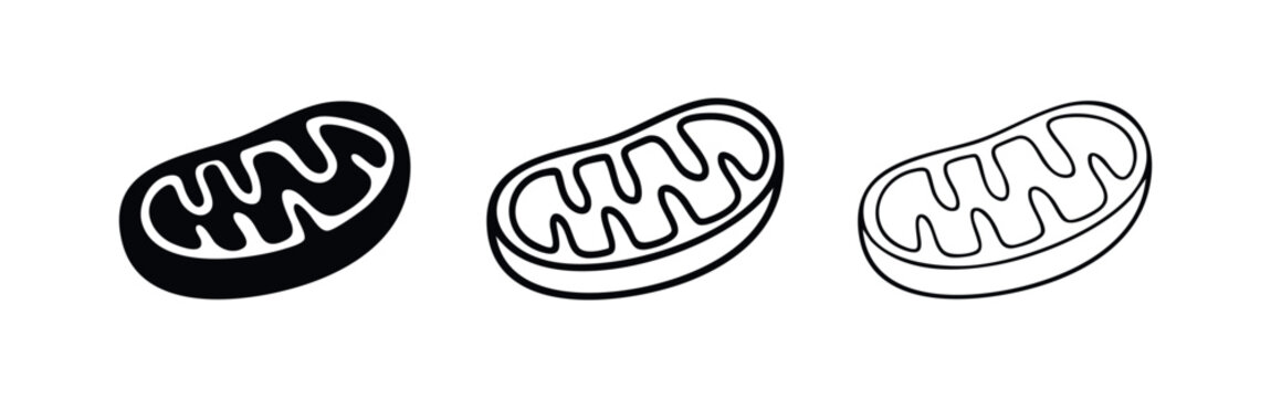 Mitochondria vector icon set. Cellular organelle symbol in various styles.