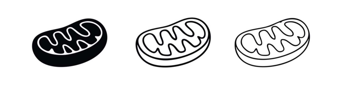 Mitochondrion icon set: cellular organelle symbol in solid, bold outline, and thin line styles