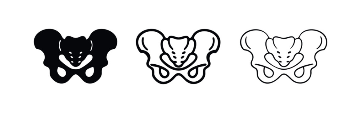 Human pelvis bone vector icon set. Hip bone anatomy symbol in various styles.