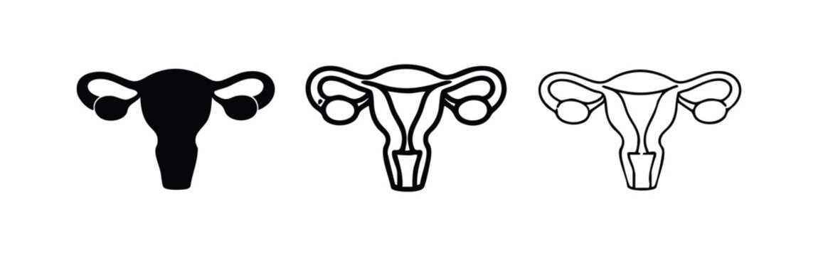 Human uterus vector icon set. Female reproductive system symbol in multiple styles.