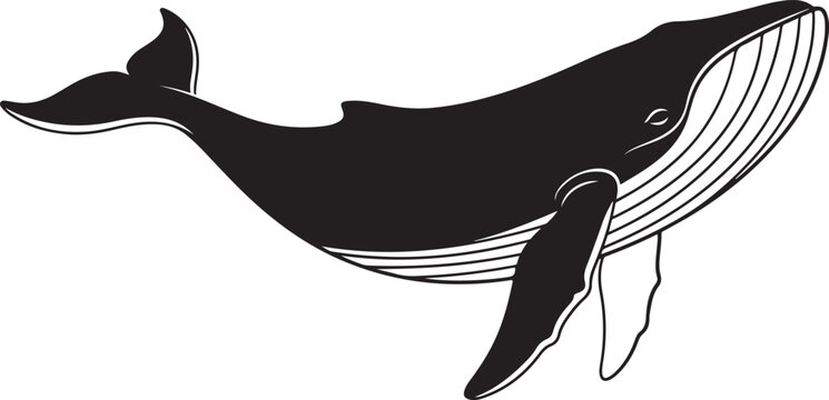 Black whale vector illustration isolated on Transparent Background