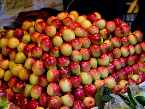 Fresh Ziziphus mauritiana fruits, commonly known as jujube or sweet apple (kul), rich in antioxidants such as ascorbic acid, phenolic compounds, and gallic acid. 