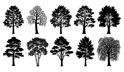 Obraz premium Collection of tree silhouettes vector set with oak pine palm and maple trees isolated on white background