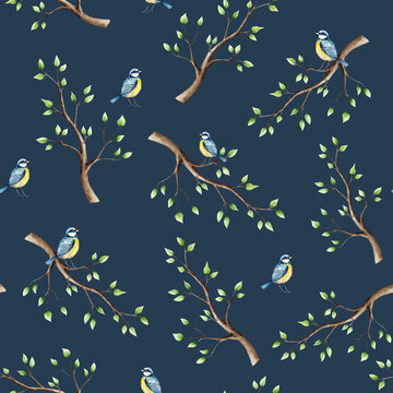 Spring seamless patterns with branch, leaves and blue tit perche. Watercolor titmouse, easter hand drawn illustration isolated on background, transparent png. Botanical and wedding clip art. For
