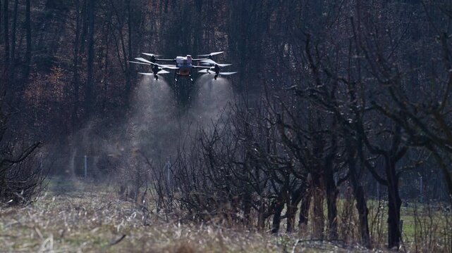 Agricultural Drone Sprays Crop Protection Mist Over Pruned Fruit Trees