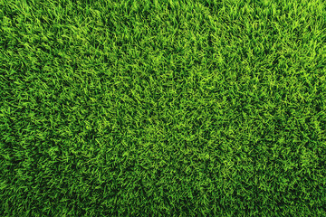 Fototapeta premium Grass Background Top View with Freshly Cut Healthy Green Field and Paper House, Nature and Home Concept