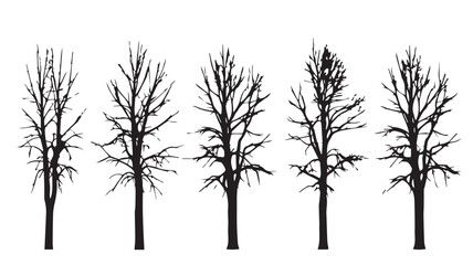 Obraz premium Stylized Collection of Bare Winter Tree Silhouettes for Graphic Design Projects