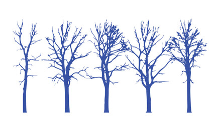 Obraz premium Set of Leafless Tree Silhouettes for Seasonal Design and Nature Illustrations
