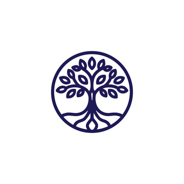 Tree of Life Circle Line Icon &mdash; Roots, Branches, Nature Growth Outline Symbol Vector Illustration