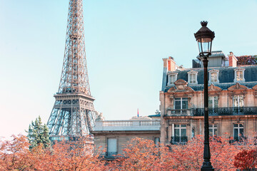 The Eiffel Tower in Paris City