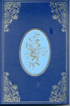 Vintage Blue Book Cover with Golden Ornaments and Fantasy Fairy Illustration in Oval Medallion