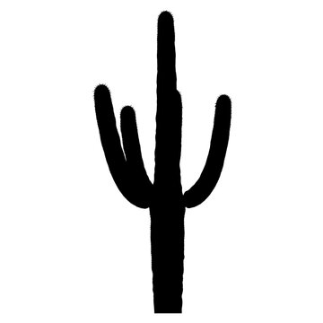 Black silhouette of a cactus plant.