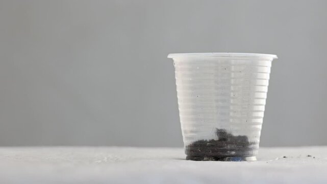 The empty plastic cup is filling with soil for seedlings. The cup with soil on a gray background. Gardening.