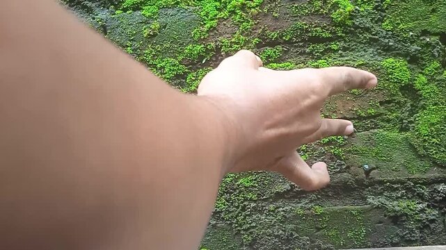 moving the finger to flick the snail shell