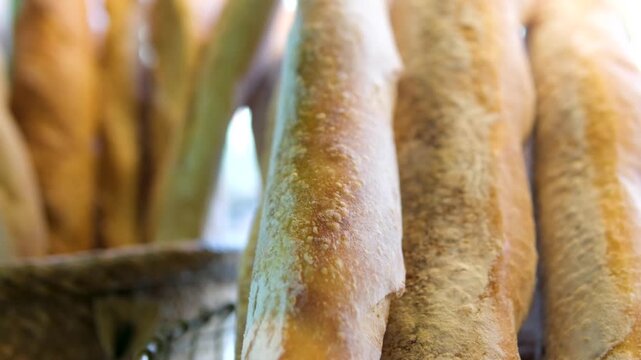 Close-up video of French mini baguettes displayed in a bakery. Golden brown with a crispy crust and soft fluffy inside. Traditional French bread loaves, ideal for sandwiches, breakfast