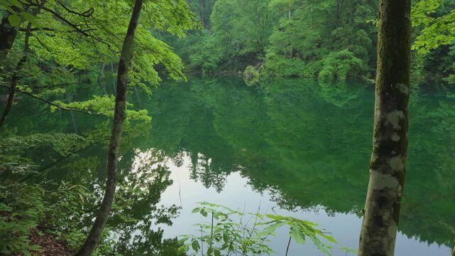 新潟県,津南町,龍ヶ窪,池,湧水,日本名水百選,龍神伝説