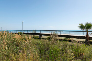 Fototapeta premium Natural Coastal Lagoon Surrounded by Lush Wetland Vegetation