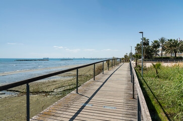 Fototapeta premium Natural Coastal Lagoon Surrounded by Lush Wetland Vegetation
