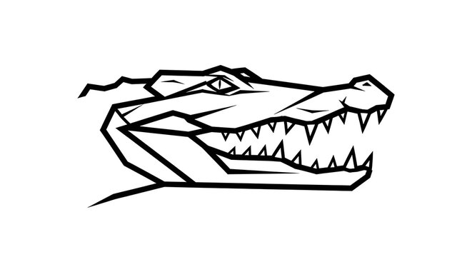 Crocodile head illustration, black line art, reptile portrait, wildlife sketch