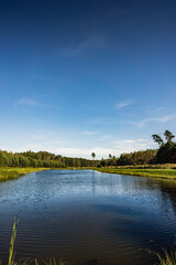 Forest retention pond surrounded by greenery during summer
