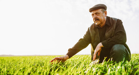 A farmer stands in a green field holding a young plant with both hands. The sun shines brightly as he reflects on his work. The surrounding landscape shows a healthy crop. © maxbelchenko