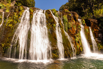Fototapeta premium waterfall in the forest