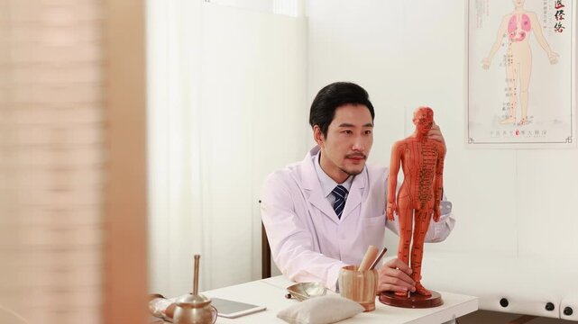 Professional TCM traditional medicine master figure with acupuncture points model of human body stimulation at traditional clinic hospital for natural healing. Health and treatment concept