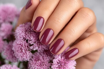 Fototapeta premium A manicured hand with burgundy nail polish rests on a bunch of purple aster flowers, showcasing elegance, beauty and floral elements in a studio setting.