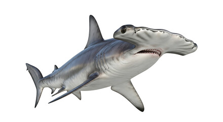 Obraz premium A surreal artistic style depiction of a shark with two heads on transparent background