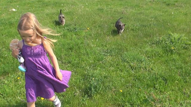 Child Playing with Pets Dogs, Girl Walking on Meadow, Kid afraid by Animals Children Love Puppies