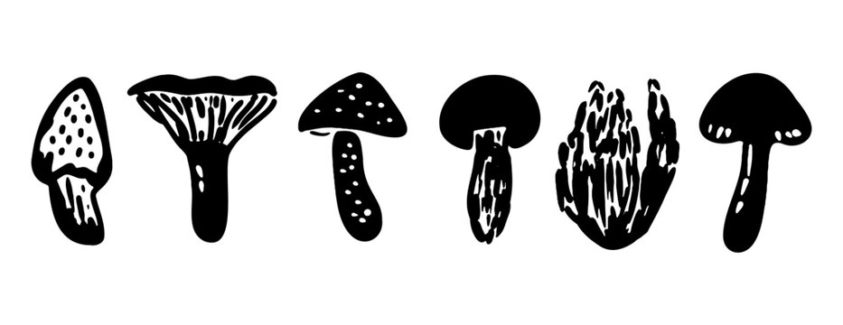Black ink mushroom collection: vector silhouette set of forest fungi like chanterelle, amanita, morel, boletus. Hand-drawn monochrome doodle illustration, linocut style isolated on white