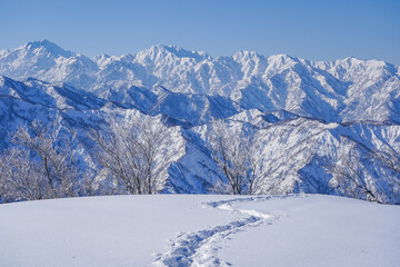 Fototapeta premium 冬の大地山から見るトレースと立山連峰