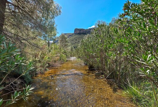 R&iacute;o de monta&ntilde;a con agua cristalina entre vegetaci&oacute;n mediterr&aacute;nea , Paisaje natural con arroyo de aguas transparentes en la monta&ntilde;a Riachuelo entre ca&ntilde;as y vegetaci&oacute;n en entorno natural mediterr&aacute;neo