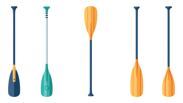 Selection of various boat paddles and oars in different styles and colors including wooden and synthetic designs.