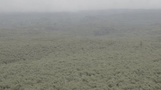 Drohnen&uuml;berflug Ruanda/Uganda Nationalpark