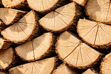 Naklejka premium Stacked wooden logs with intricate patterns and natural textures